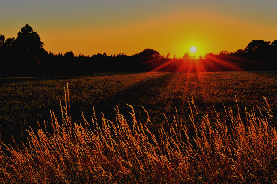 Sunray Across Green Grass Field