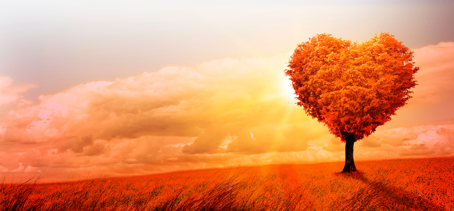 Heart shaped tree in a surreal landscape